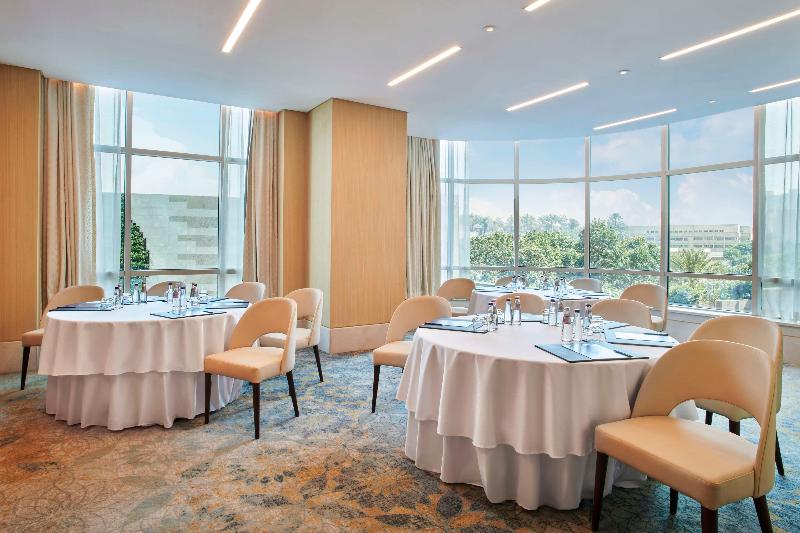 Hilton Cairo Nile Maadi - Toplantı