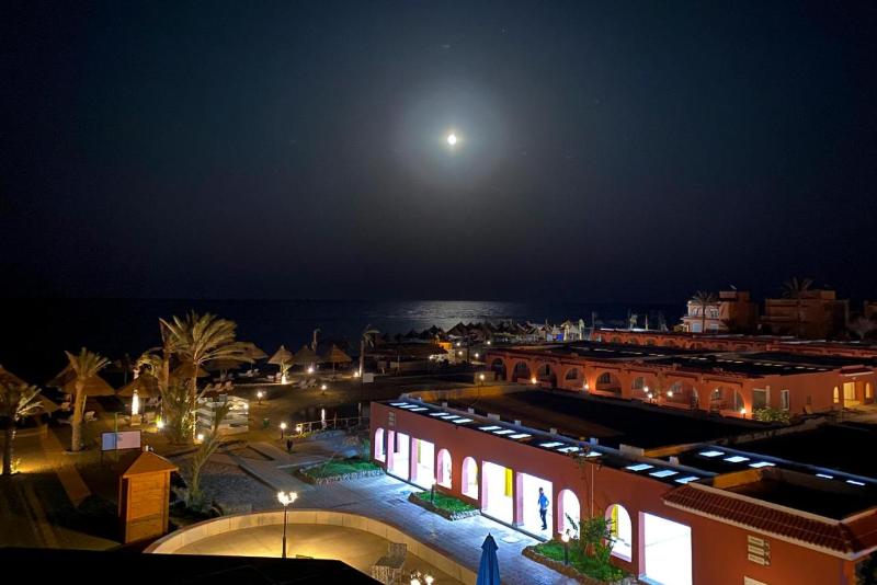 MG Alexander The Great Hotel Marsa Alam - Genel