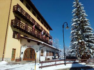 Life Hotels Des Alpes fotoÄŸrafÄ±