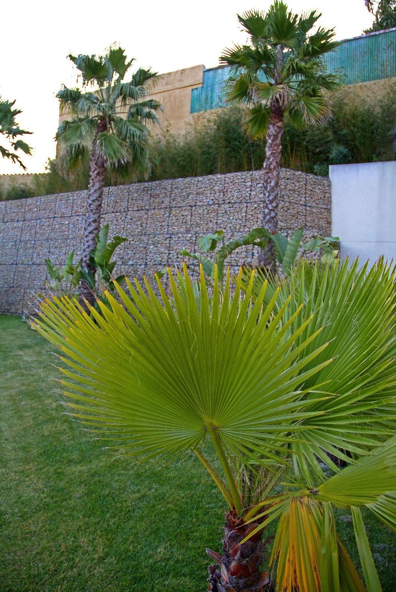 Motel Flamingo - Genel
