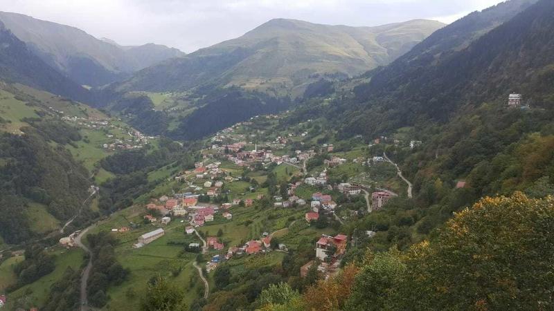 Hamsikoy Tas Otel - Genel