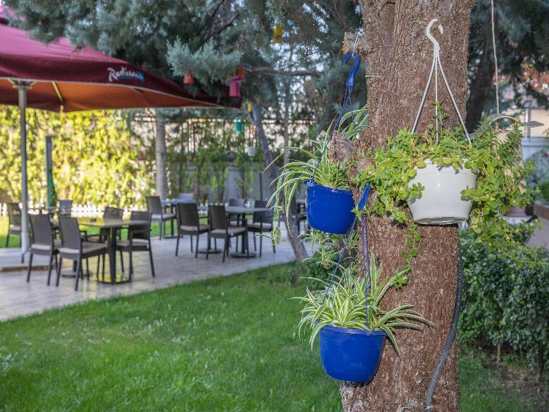 Radisson Blu Hotel Ankara - Toplantı