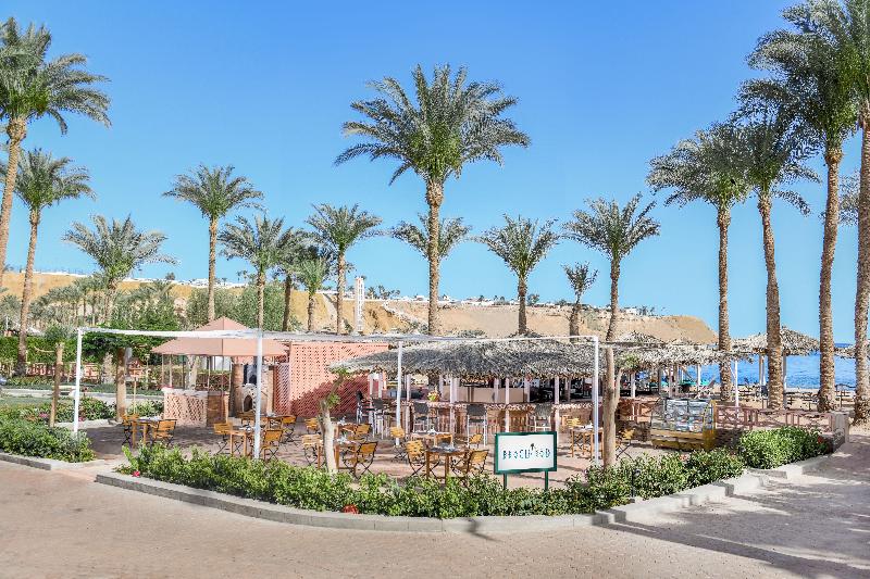 JAZ Elite Palace - Adults Only - Bar