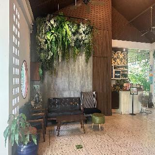 Tree House Hotel (sha Certified) fotoÄŸrafÄ±