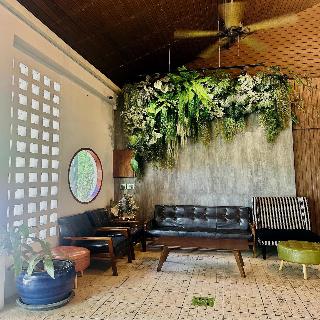 Tree House Hotel (sha Certified) fotoÄŸrafÄ±