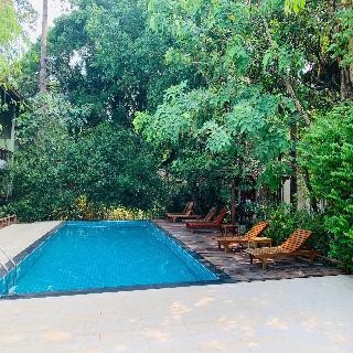 Tree House Hotel (sha Certified) fotoÄŸrafÄ±