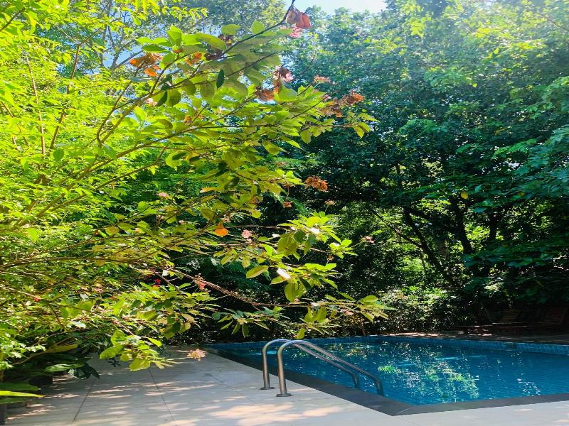 Tree House Hotel (sha Certified) - Havuz