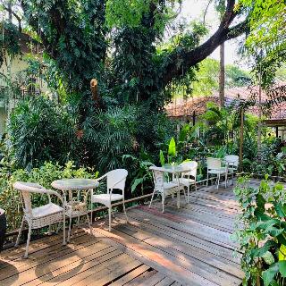 Tree House Hotel (sha Certified) fotoÄŸrafÄ±