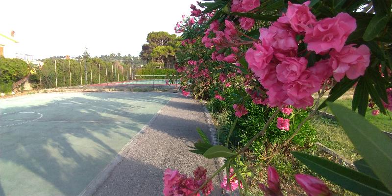 Villa Teti - Aktivite