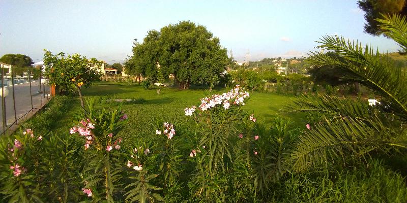 Villa Teti - Genel