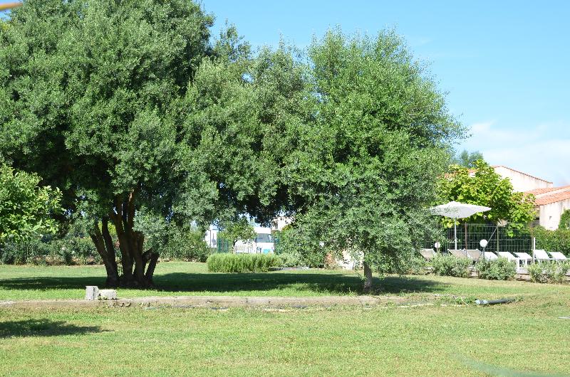 Villa Teti - Genel