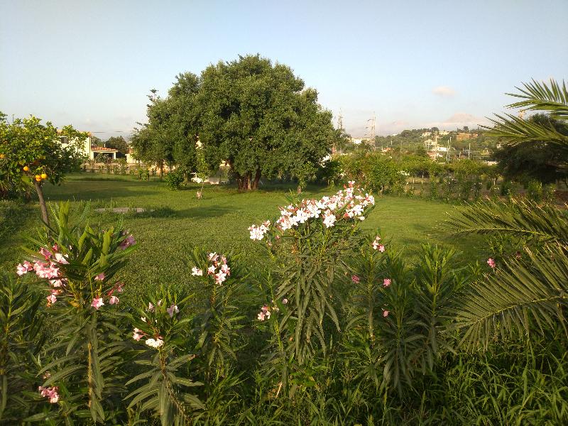 Villa Teti - Plaj