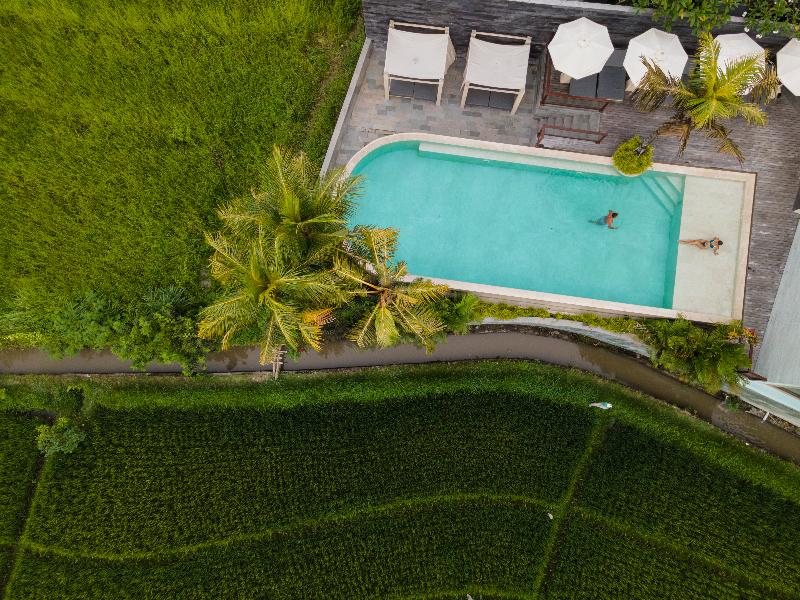 Astera Resort Canggu by Ini Vie Hospitality - Genel
