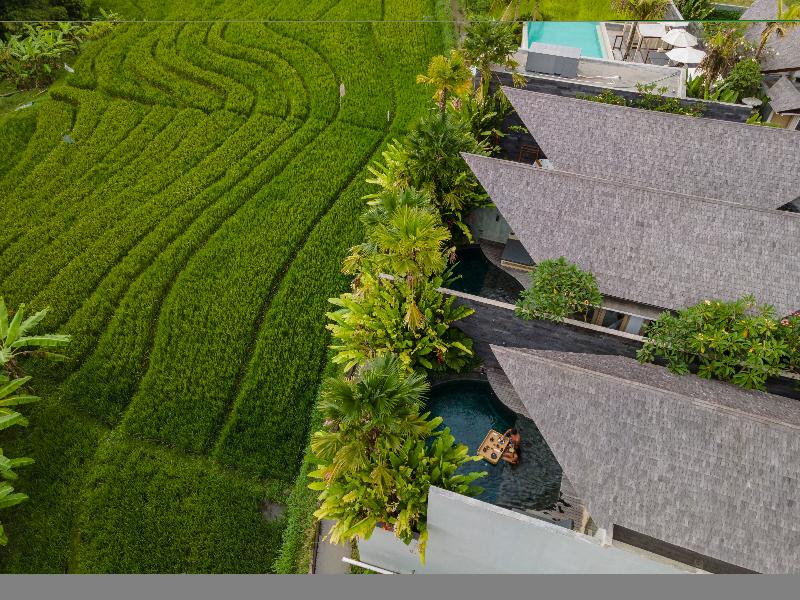 Astera Resort Canggu by Ini Vie Hospitality - Genel