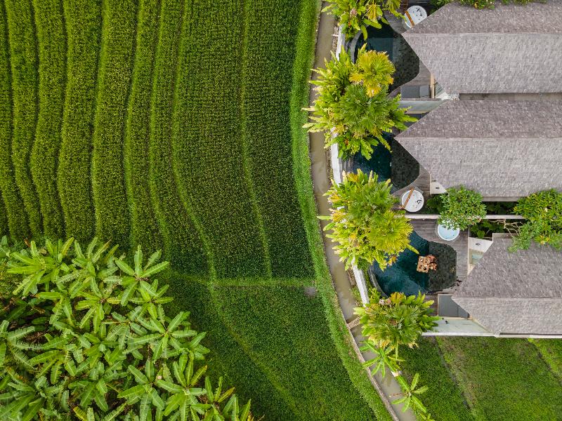 Astera Resort Canggu by Ini Vie Hospitality - Genel