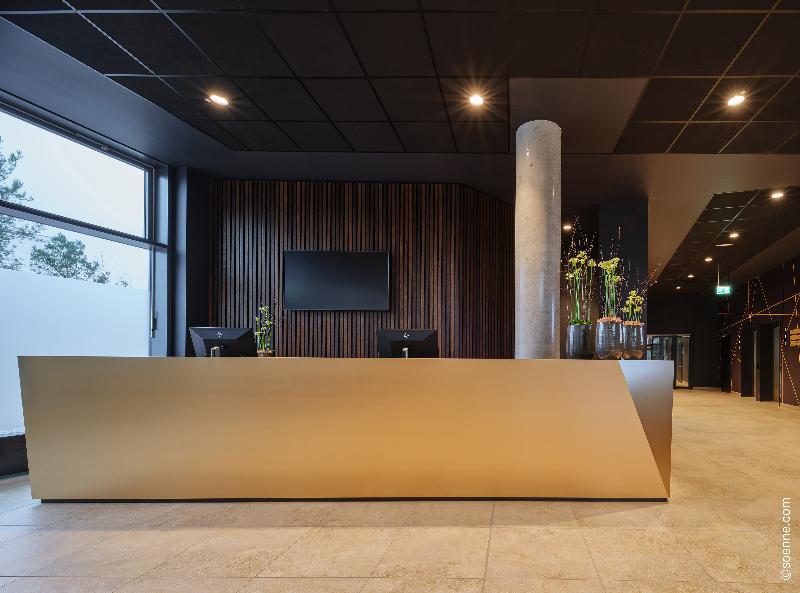 Dorint Hotel München/Garching - Lobi