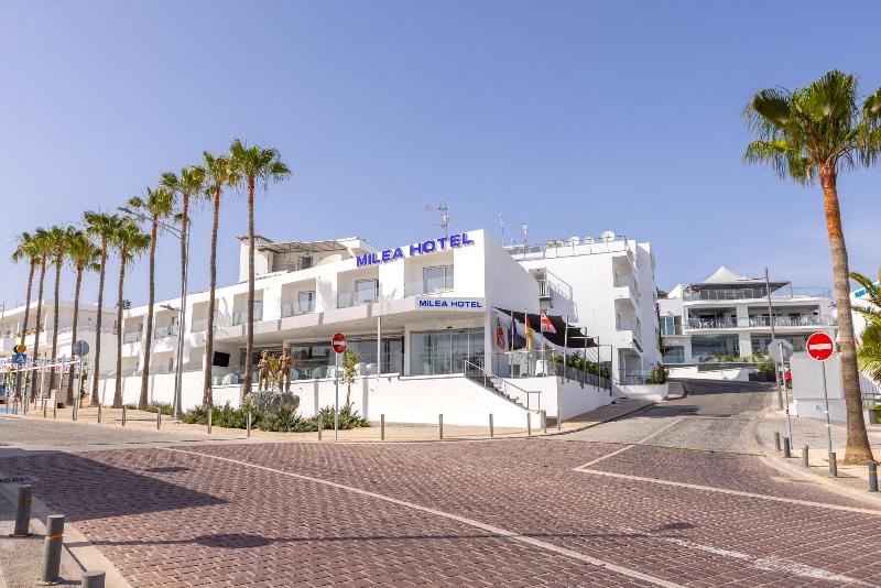 Milea Hotel - Genel