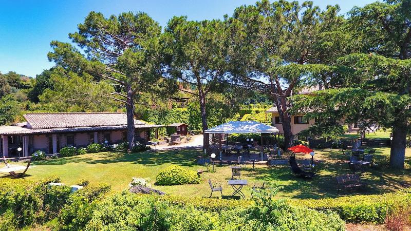 Le Vigne - Genel