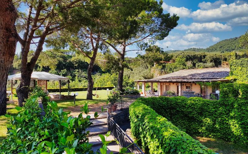 Le Vigne - Genel