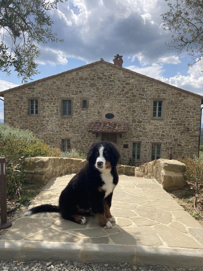 I Borghi Dell Eremo - Oda