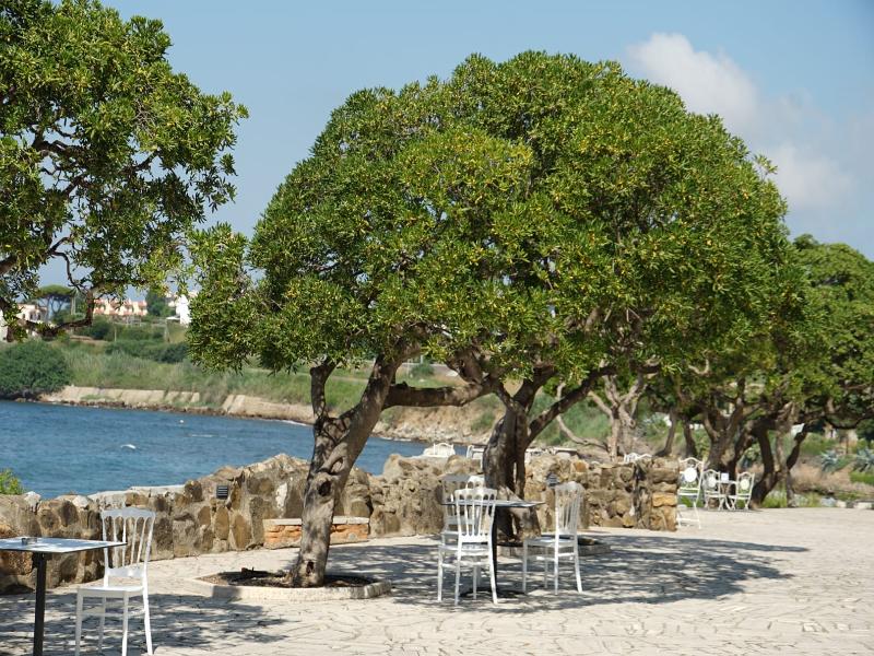 Villa Mg Hotel - Genel