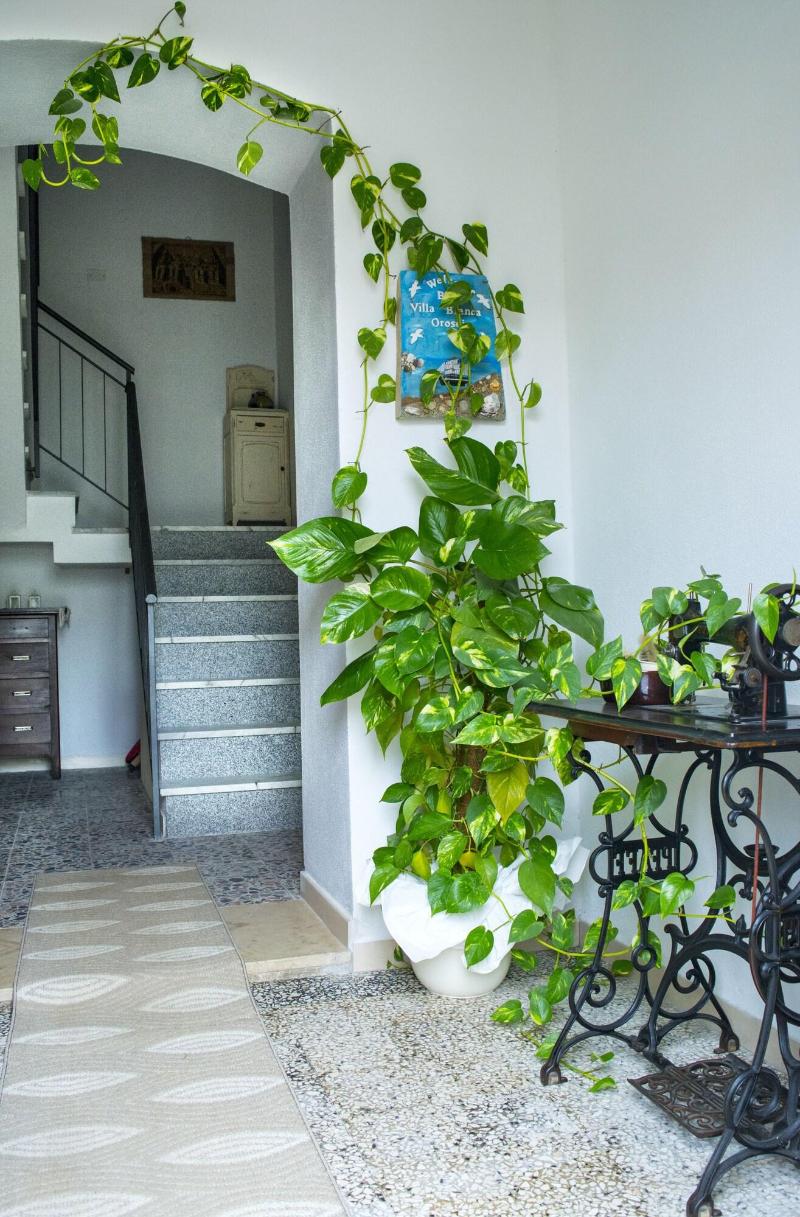 Bed And Breakfast Villa Bianca - Lobi