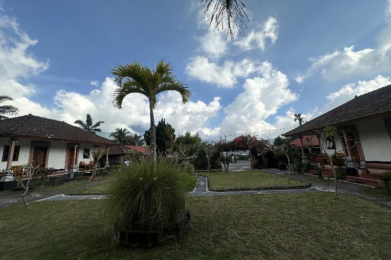 Arlina's Hotel Kintamani by ZUZU - Genel