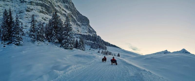 Hotel Scha Negg Wengen - Aktivite