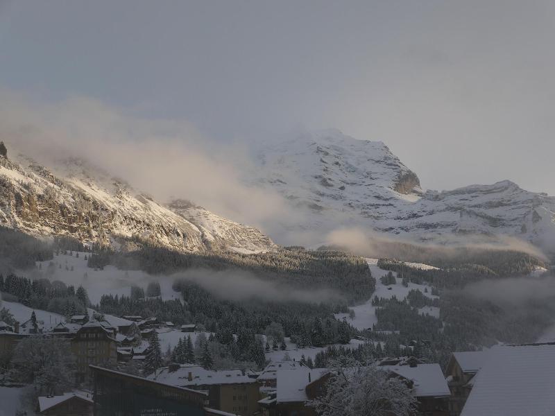 Hotel Scha Negg Wengen - Genel