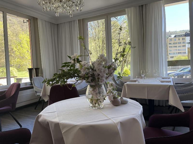 Hotel Alte Mühle - Restoran