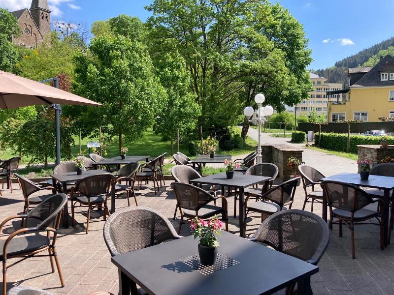 Hotel Alte Mühle - Teras