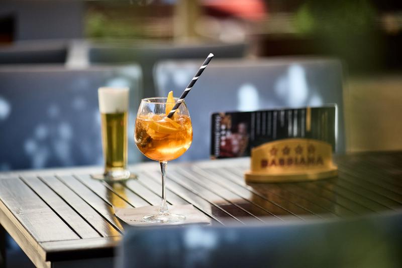 Bassiana Hotel - Bar