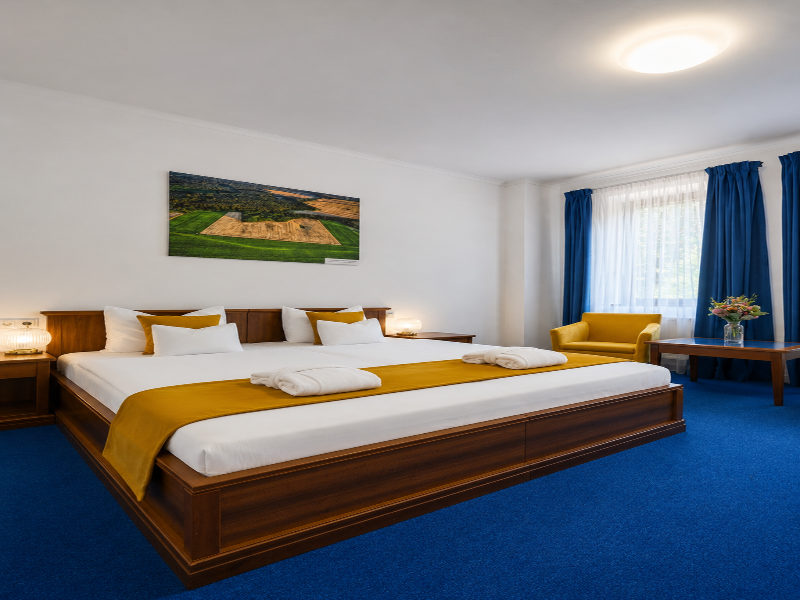 Bassiana Hotel - Oda