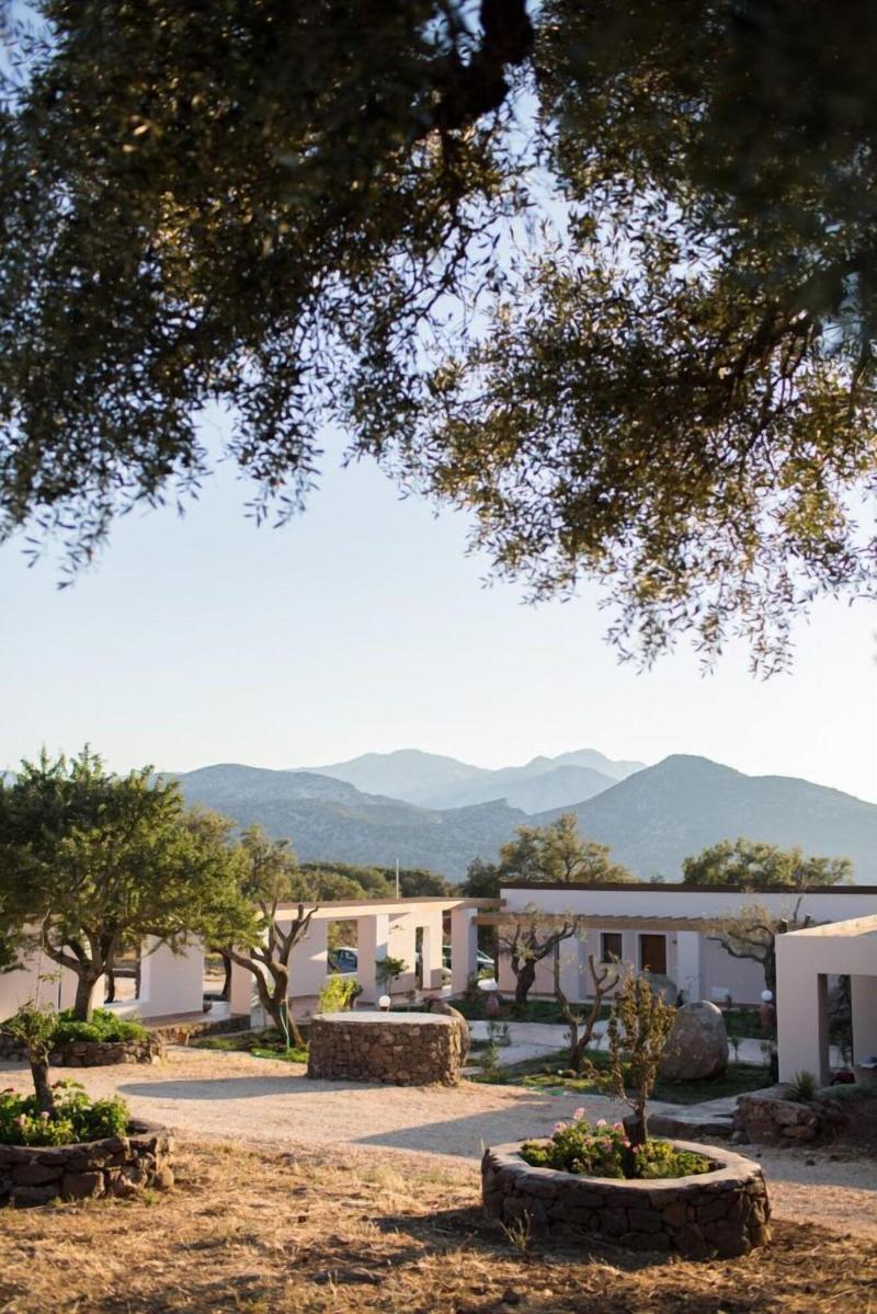 Hotel Barbagia - Genel