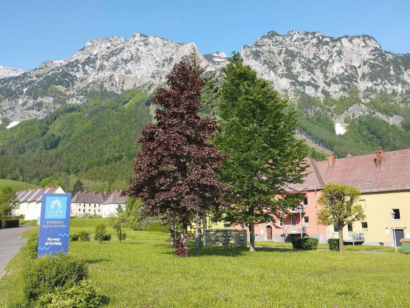 Erzberg Alpin Resort By Alps Resorts - Genel