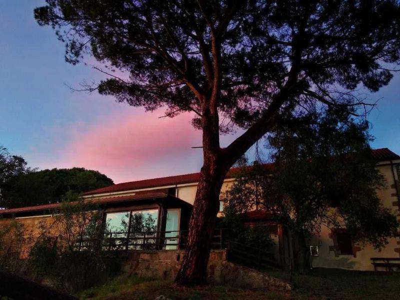 Locanda Minerva - Genel