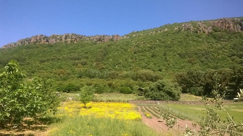 Locanda Minerva - Oda