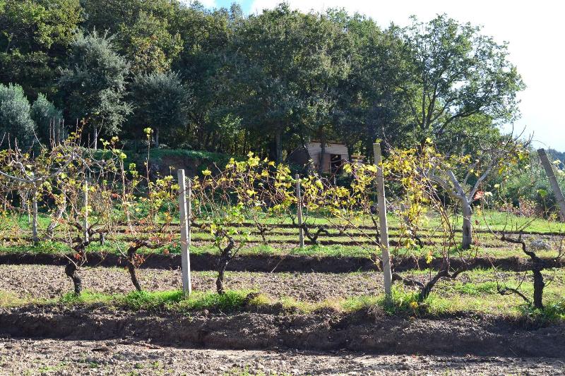Borgo Rosso Di Sera Resort Country Chic - Genel