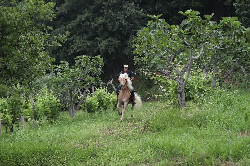 Borgo Rosso Di Sera Resort Country Chic - Genel