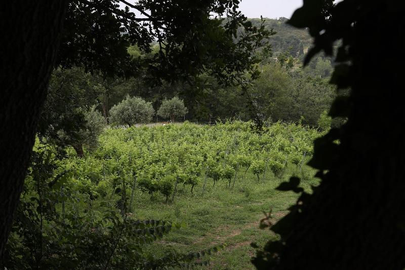 Borgo Rosso Di Sera Resort Country Chic - Genel