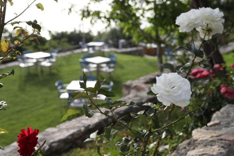 Borgo Rosso Di Sera Resort Country Chic - Havuz