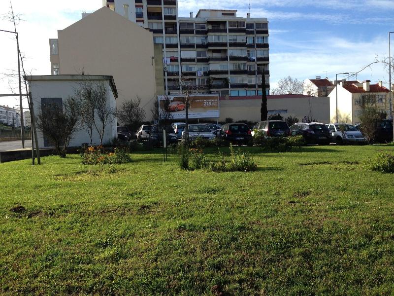 Discovery Apartment Benfica - Genel