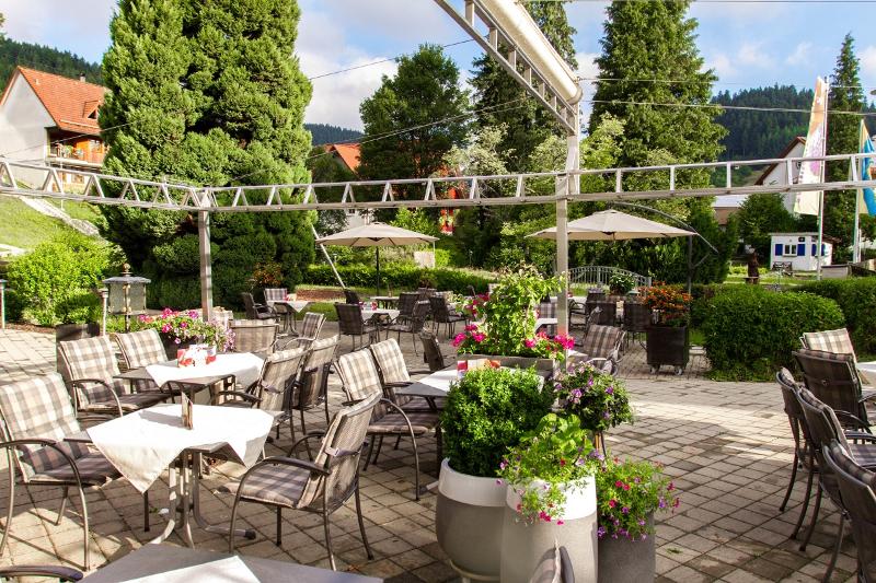 Hotel Waldblick - Teras