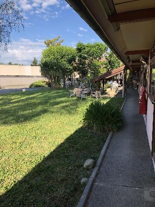 Ha Tel Cristol fotoÄŸrafÄ±
