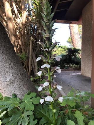 Ha Tel Cristol fotoÄŸrafÄ±
