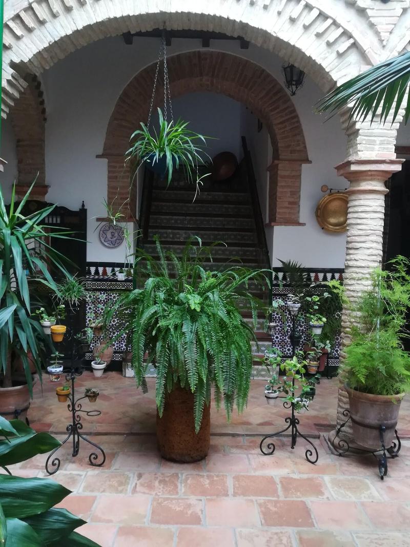 Hostal Comercio - Genel