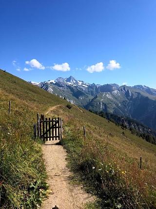 Scol Sporthotel Gro Glockner fotoÄŸrafÄ±