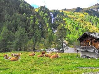 Scol Sporthotel Gro Glockner fotoÄŸrafÄ±