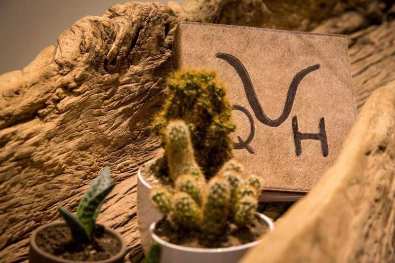 Masseria Straziuso La Vaccariccia - Lobi