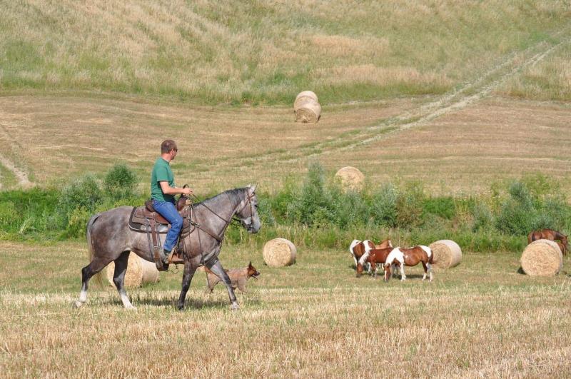 Masseria Straziuso La Vaccariccia - Aktivite
